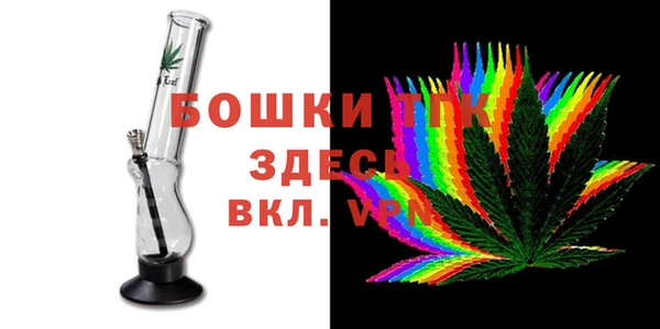 индика Лагань
