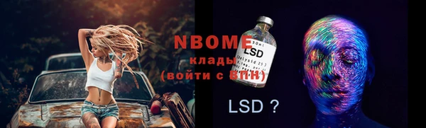 индика Лагань