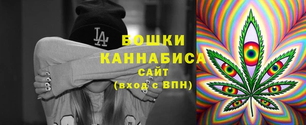 индика Лагань